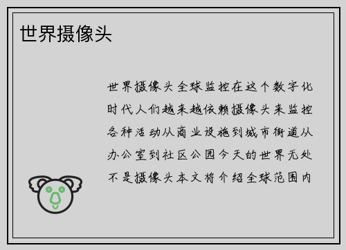 世界摄像头